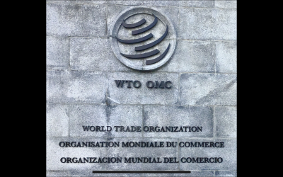 What to Do About the WTO
